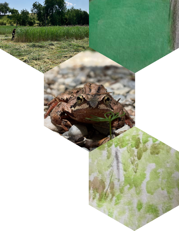 BUS_GFX_WabeHeaderRight_1_align post-img