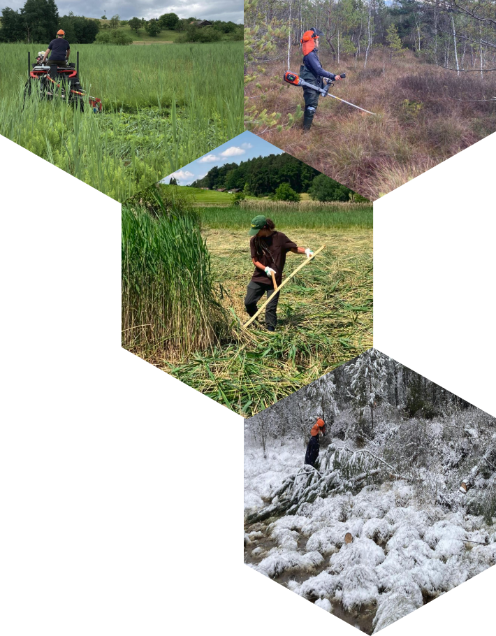 BUS_GFX_WabeHeaderRight_2_align post-img