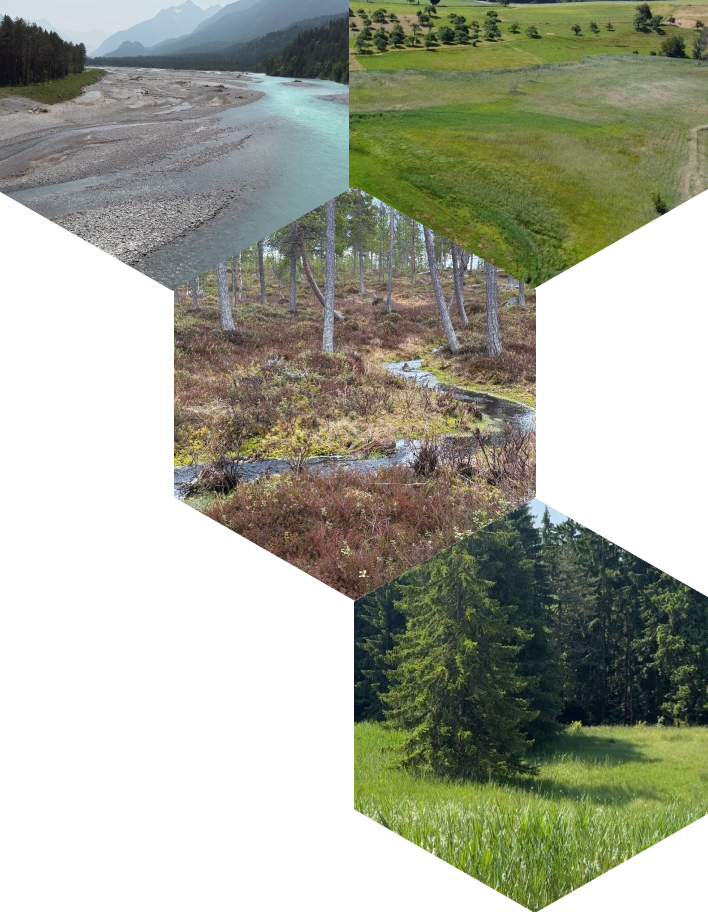 BUS_GFX_WabeHeaderRight_3_align post-img