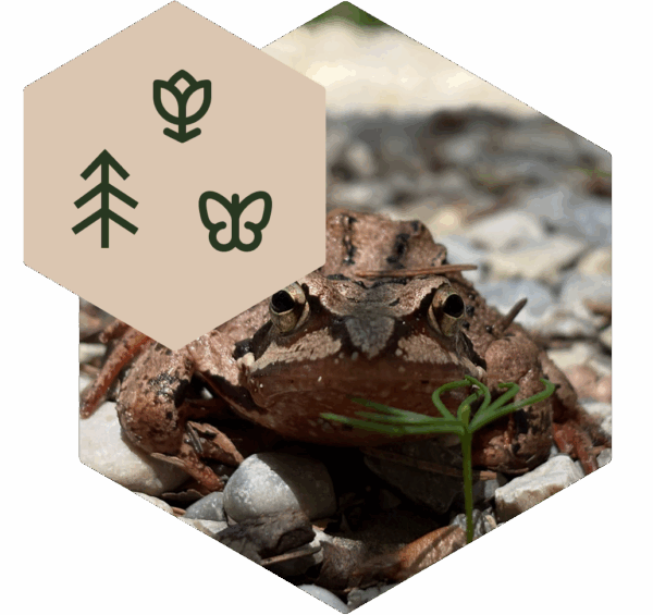 Umweltbildung / Bild